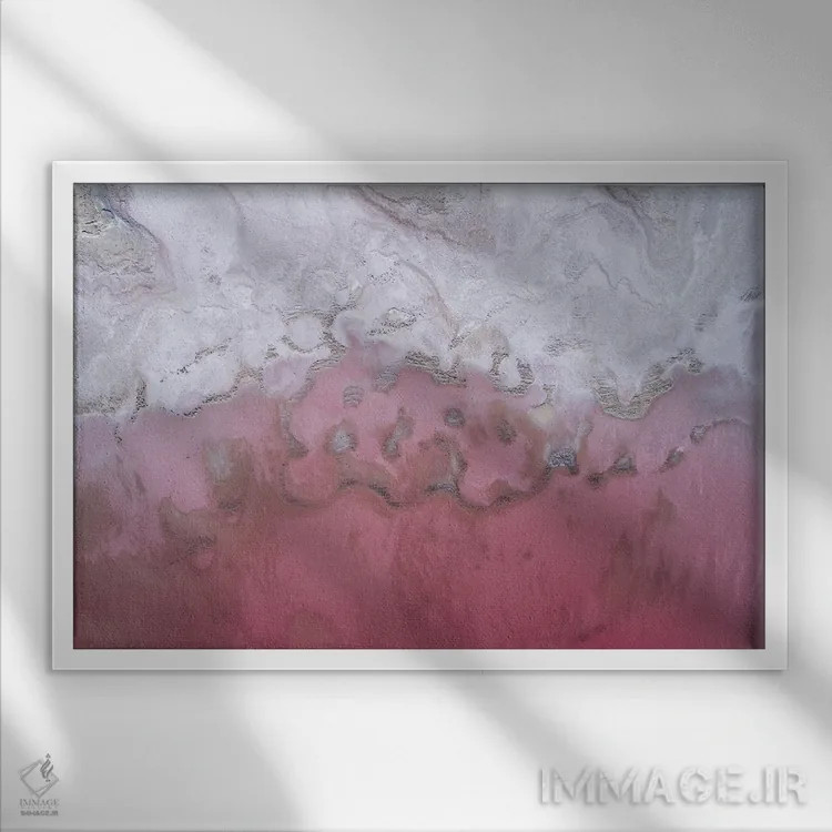 تابلو آرکئا (میکروارگانیسمها) اثر داستین لِفور - نمای قابدار سفید