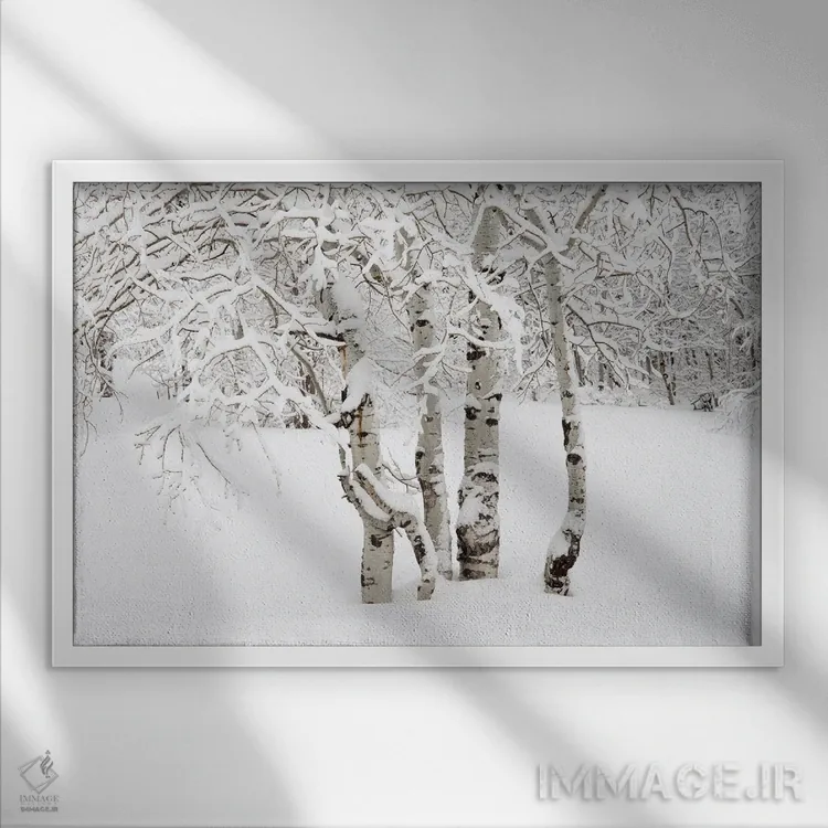 تابلو سادگی اثر داستین لِفور - نمای قابدار سفید