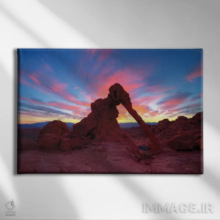 تابلو صخره فیل اثر داستین لِفور - نمای روبهرو روی دیوار