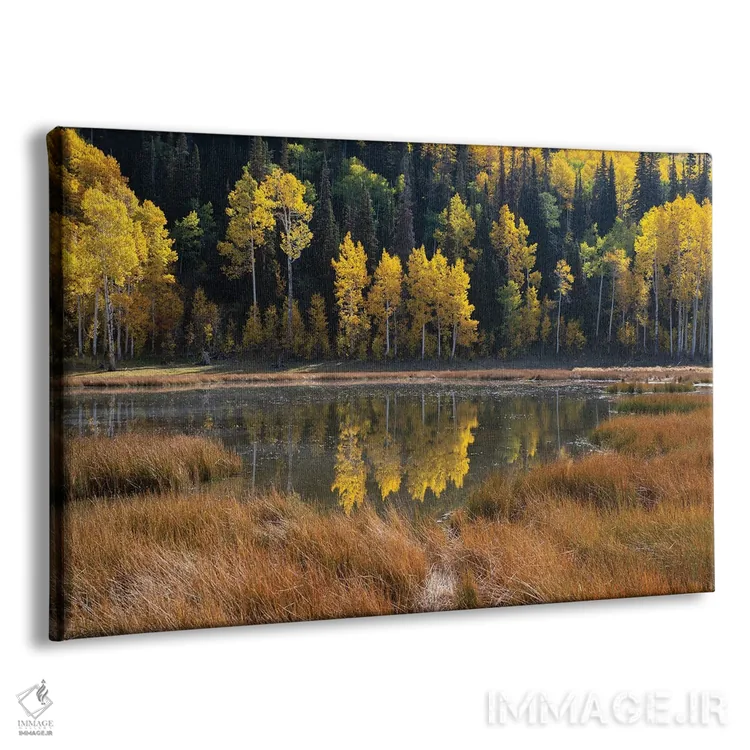 تابلو آینه پاییز اثر داستین لِفور - نمای پرسپکتیو محصول