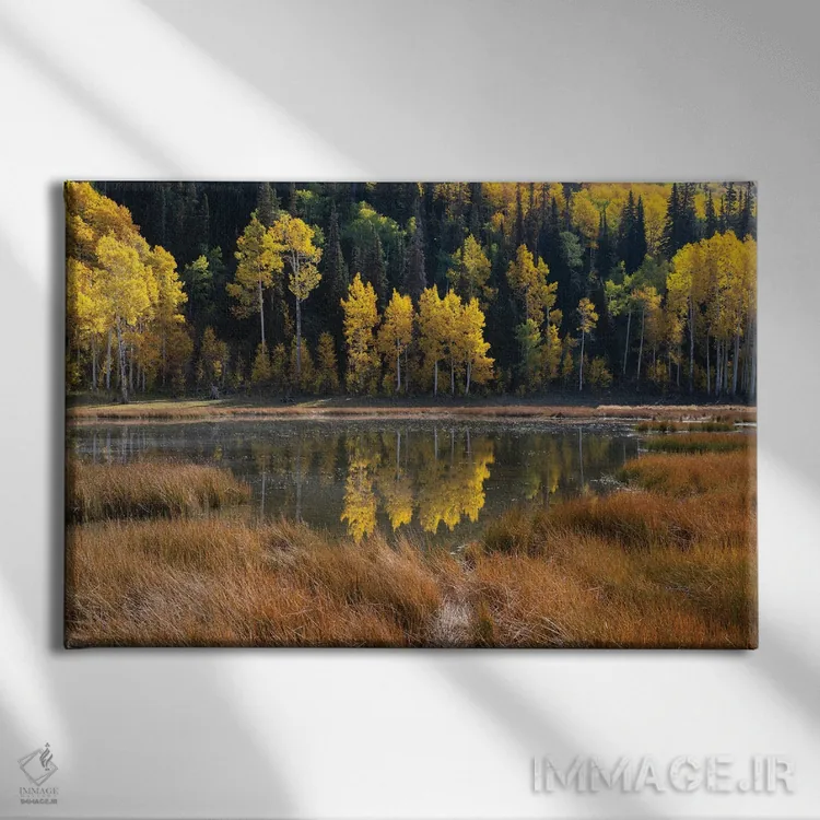 تابلو آینه پاییز اثر داستین لِفور - نمای روبهرو روی دیوار