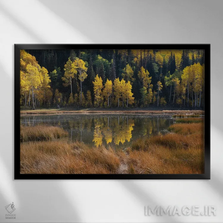 تابلو آینه پاییز اثر داستین لِفور - نمای قابدار مشکی