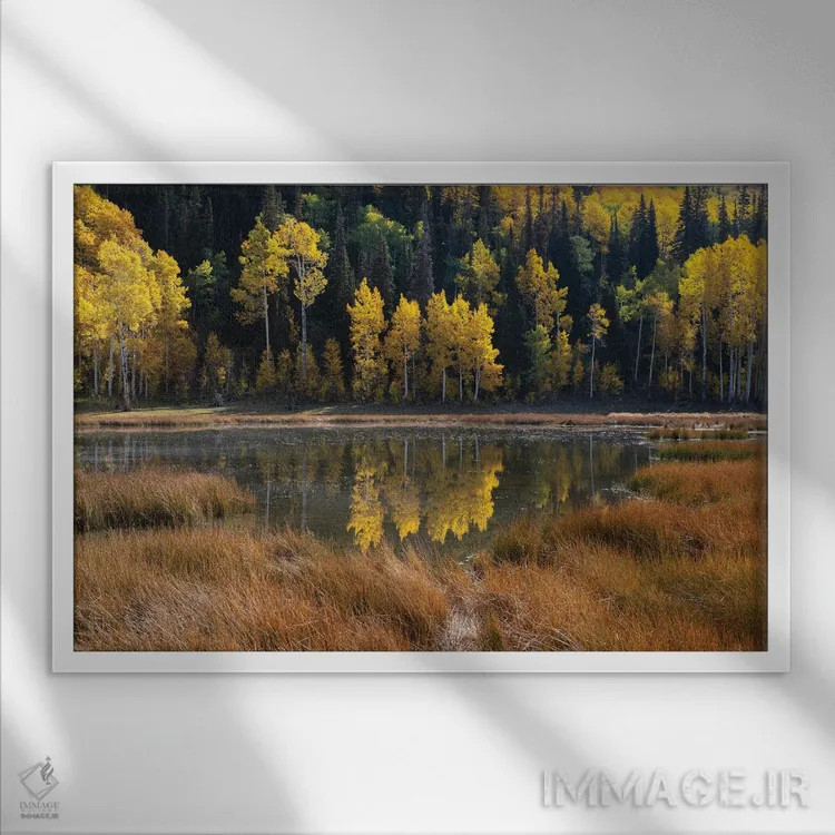 تابلو آینه پاییز اثر داستین لِفور - نمای قابدار سفید