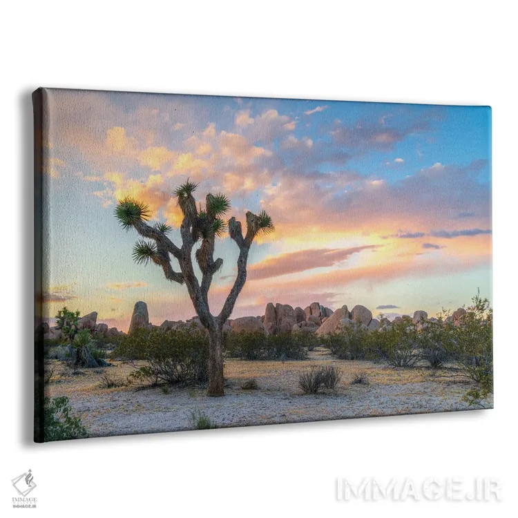 تابلو غروب درخت جاشوا اثر داستین لِفور - نمای پرسپکتیو محصول