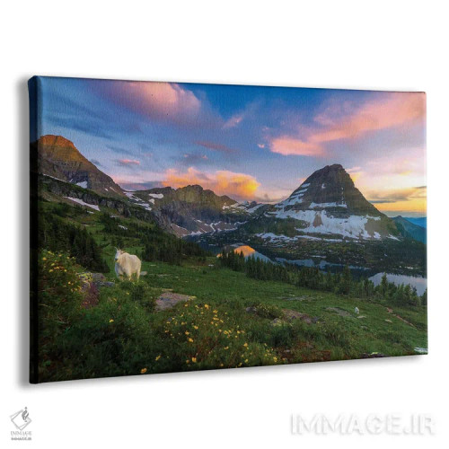 تابلو بز کنجکاو اثر داستین لِفور - نمای پرسپکتیو محصول