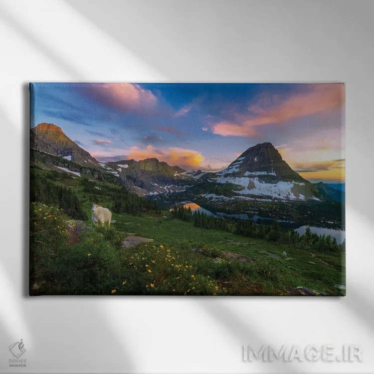 تابلو بز کنجکاو اثر داستین لِفور - نمای روبهرو روی دیوار