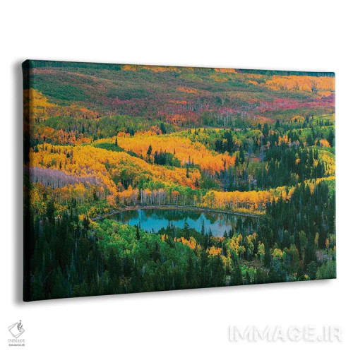 تابلو پاییز واساچ اثر داستین لِفور - نمای پرسپکتیو محصول