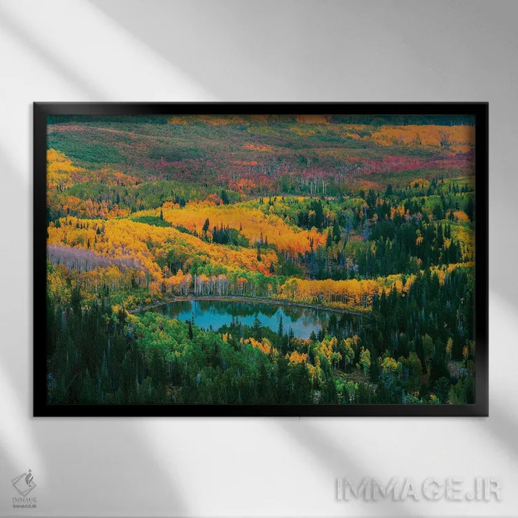 تابلو پاییز واساچ اثر داستین لِفور - نمای قابدار مشکی