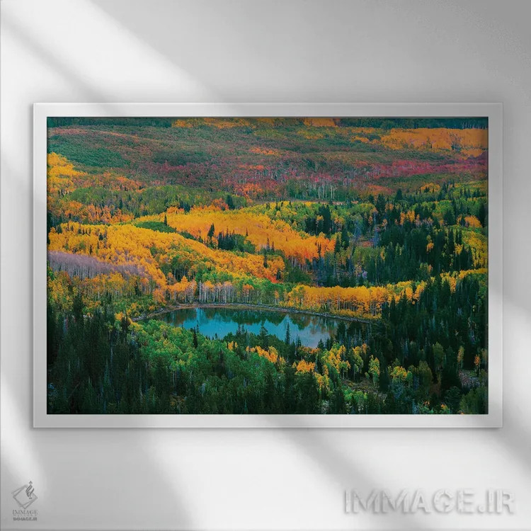 تابلو پاییز واساچ اثر داستین لِفور - نمای قابدار سفید