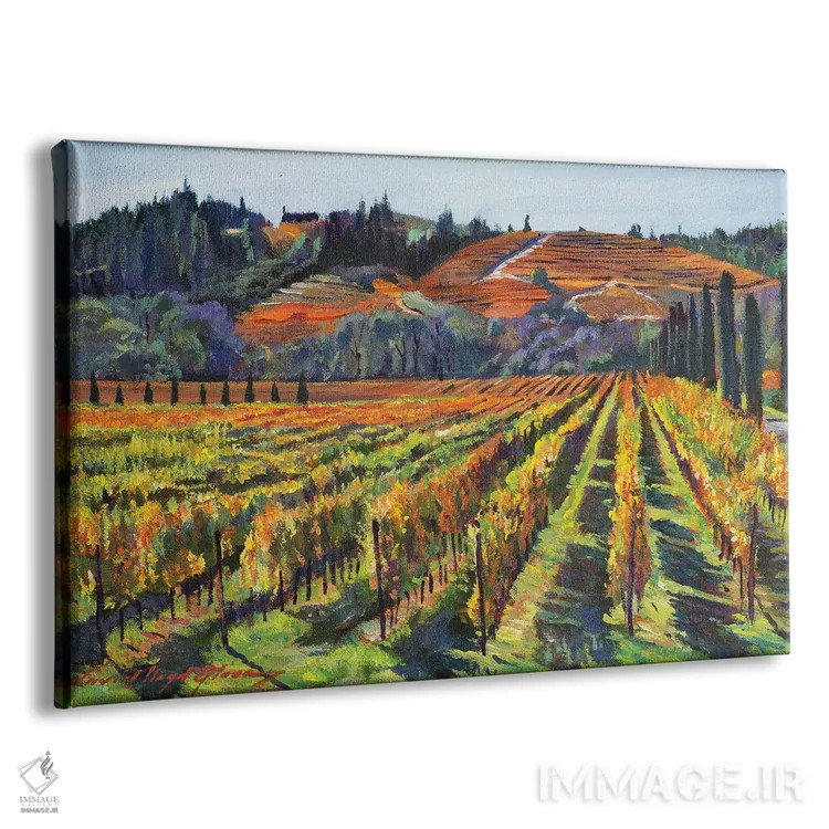 تابلو برداشت کبرنه ناپا (انگور شرابی) اثر دیوید لوید گلوور - نمای پرسپکتیو محصول