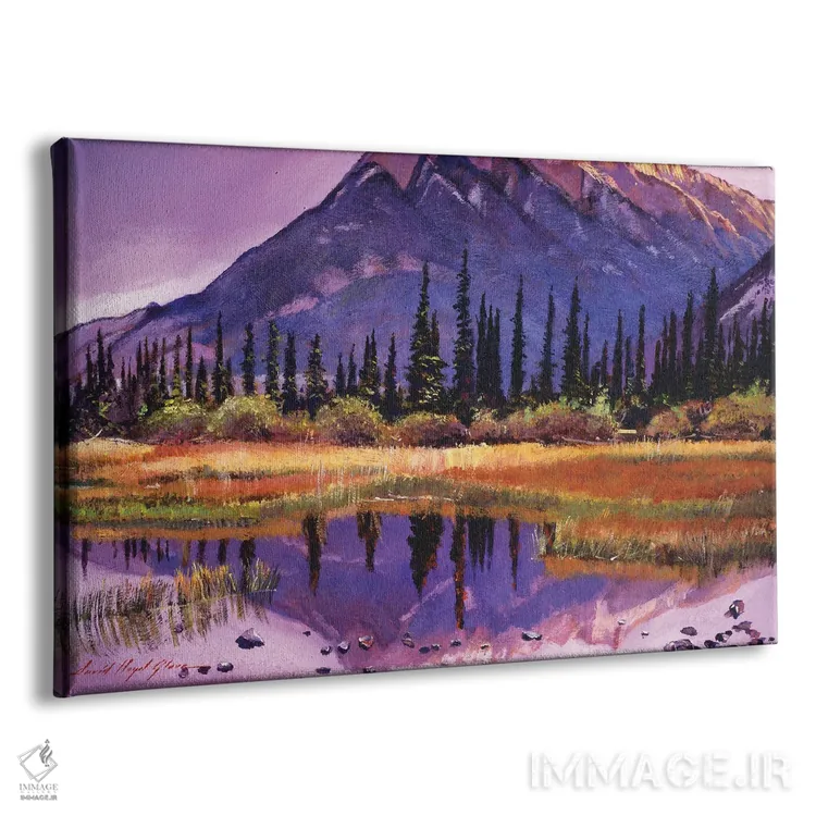 تابلو سایههای ملایم بازتابها اثر دیوید لوید گلوور - نمای پرسپکتیو محصول