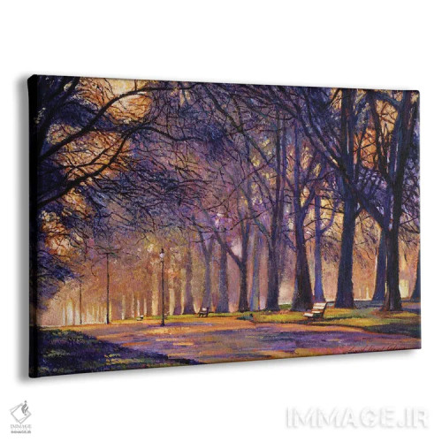 تابلو عصر زمستانی در سنترال پارک (نیویورک) اثر دیوید لوید گلوور - نمای پرسپکتیو محصول
