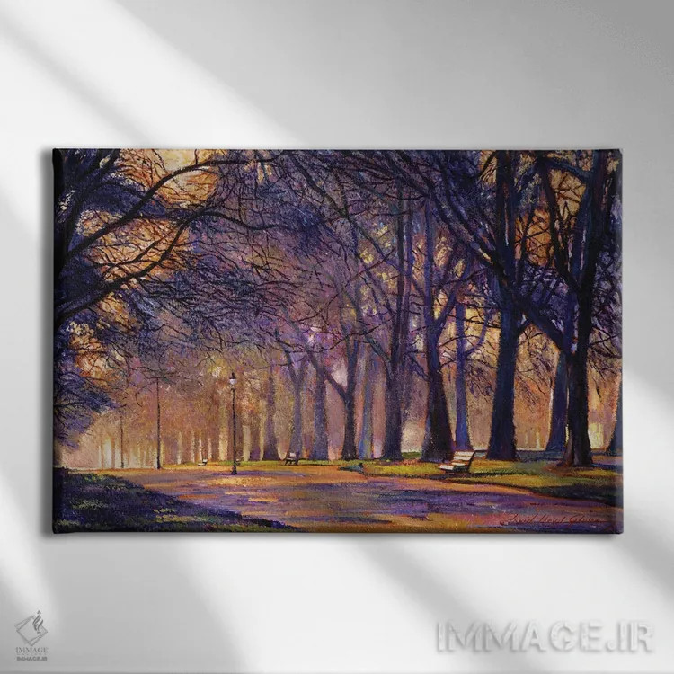 تابلو عصر زمستانی در سنترال پارک (نیویورک) اثر دیوید لوید گلوور - نمای روبهرو روی دیوار