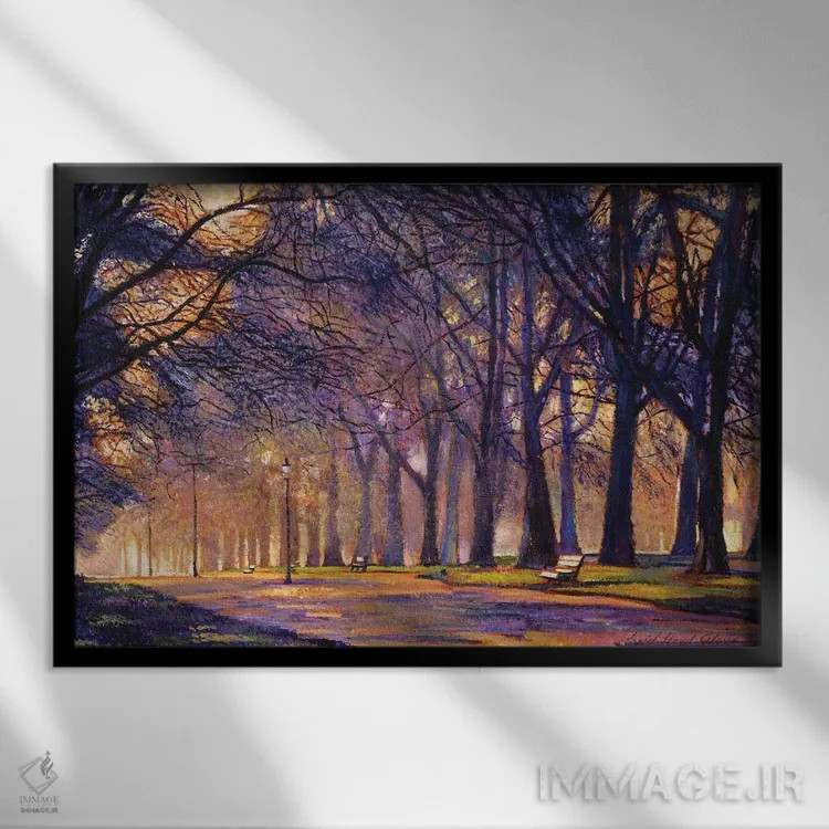 تابلو عصر زمستانی در سنترال پارک (نیویورک) اثر دیوید لوید گلوور - نمای قابدار مشکی