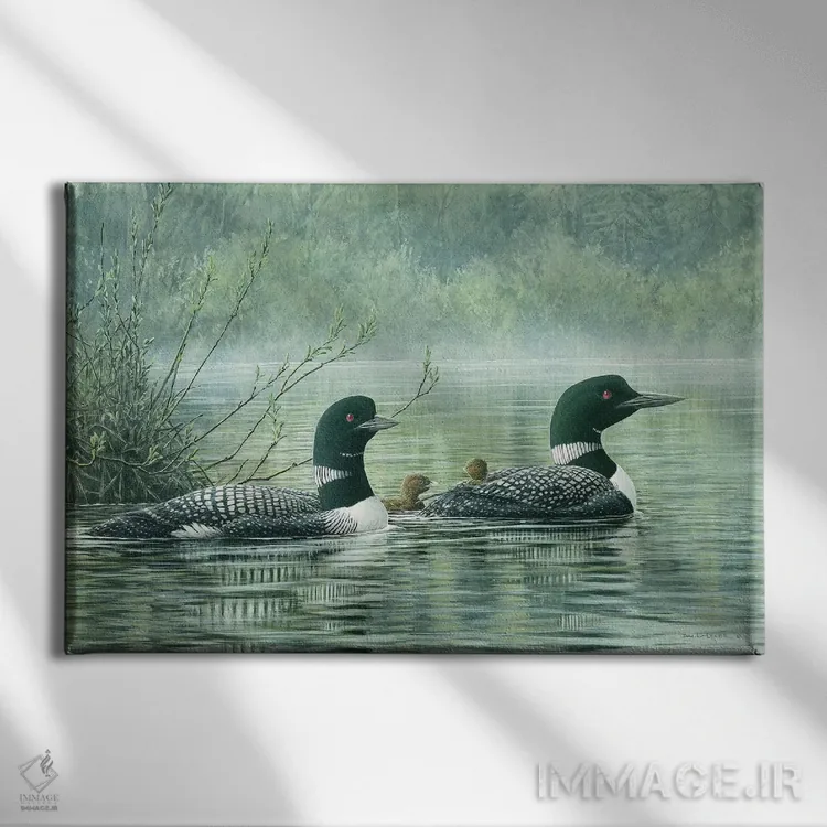 تابلو بازتابهای شمالی اثر دان لی-لگر - نمای روبهرو روی دیوار