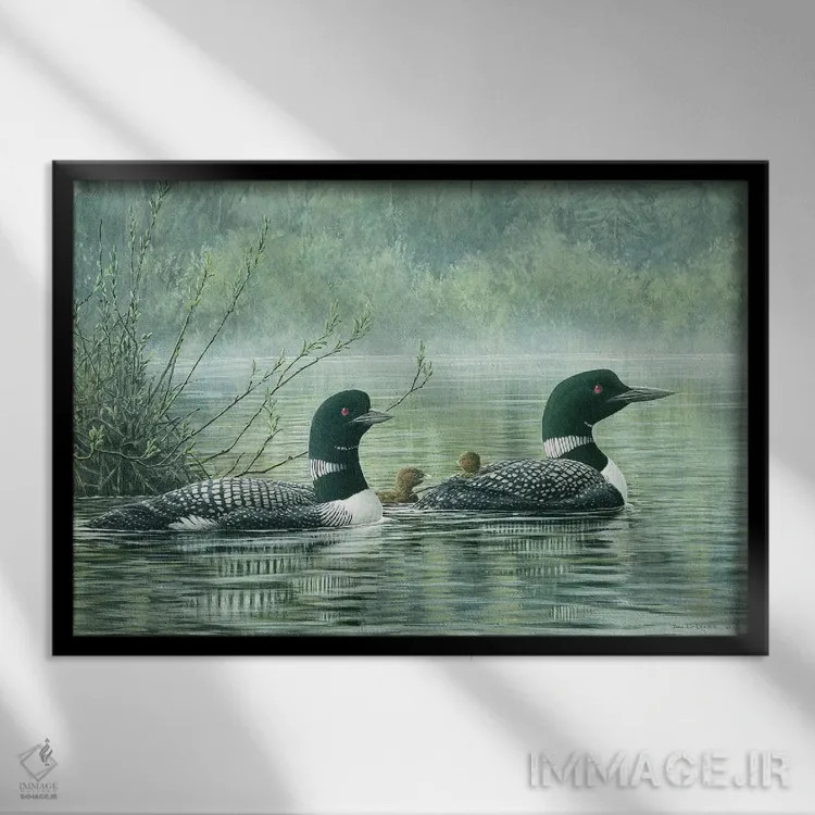 تابلو بازتابهای شمالی اثر دان لی-لگر - نمای قابدار مشکی