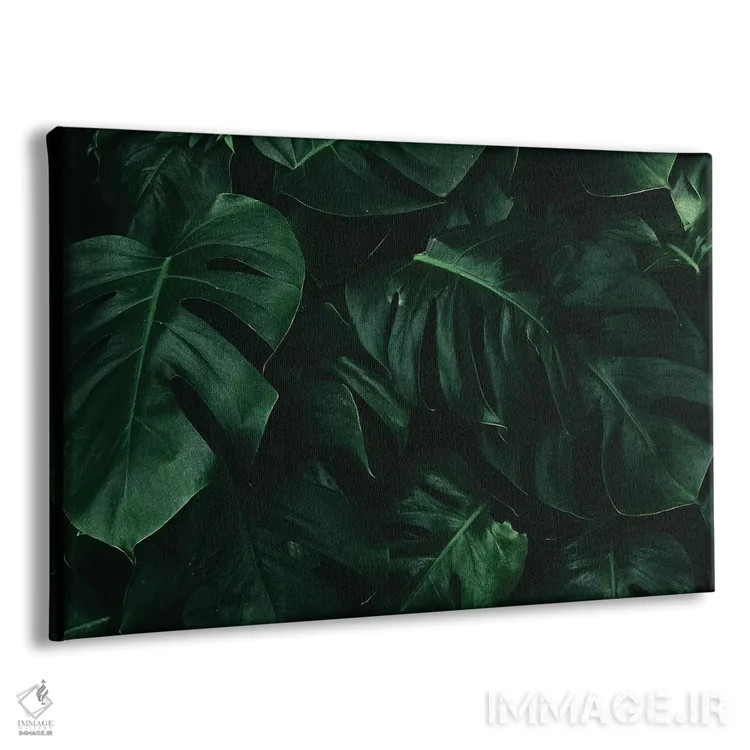 تابلو برگ سبز یک اثر دانیلو د آلکساندریا - نمای پرسپکتیو محصول