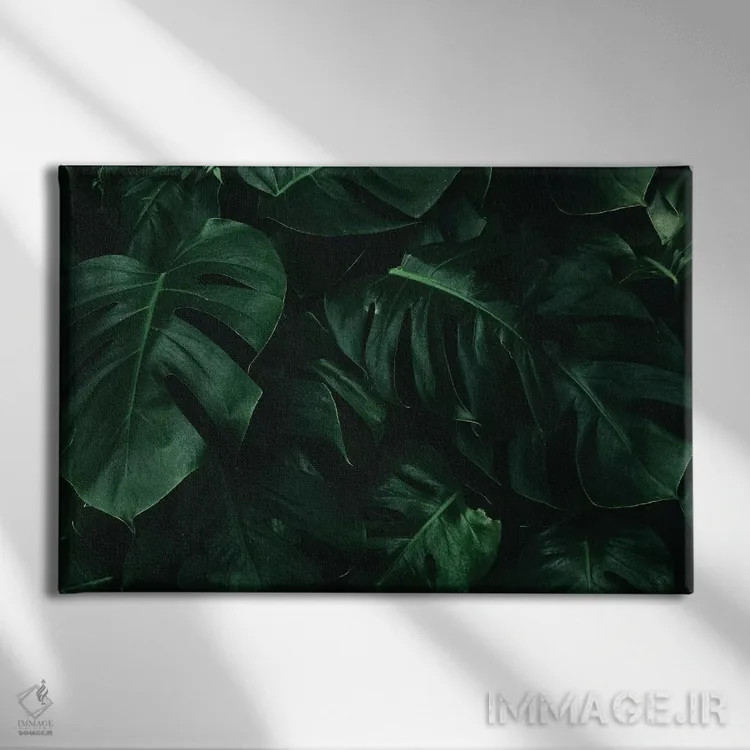 تابلو برگ سبز یک اثر دانیلو د آلکساندریا - نمای روبهرو روی دیوار