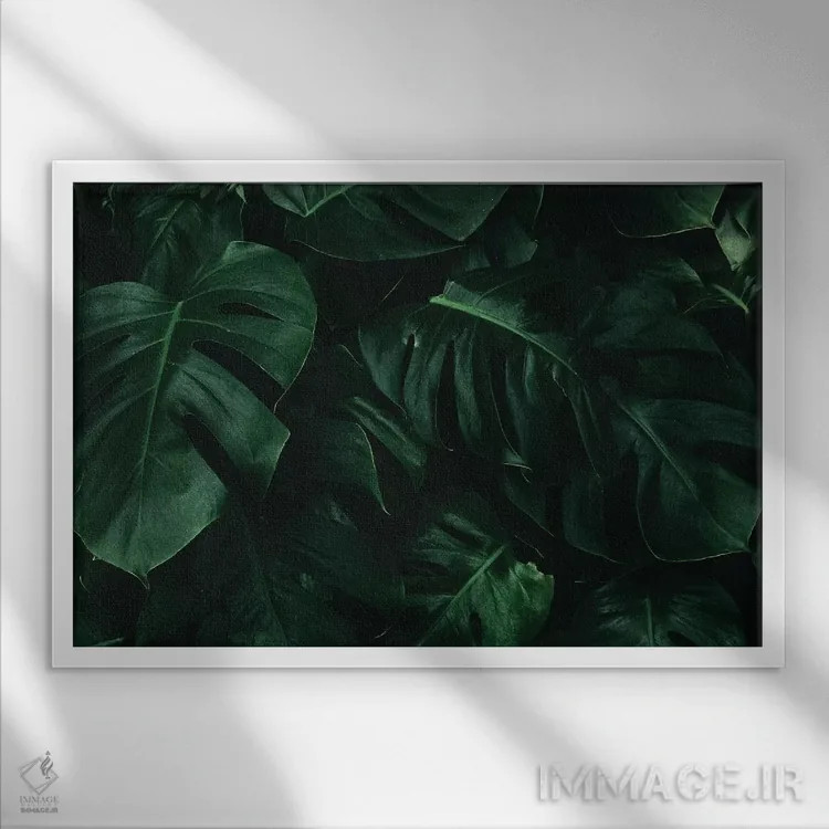 تابلو برگ سبز یک اثر دانیلو د آلکساندریا - نمای قابدار سفید