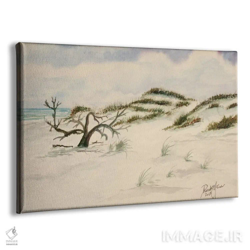 تابلو ساحل فورت والتون اثر درک مککری - نمای پرسپکتیو محصول