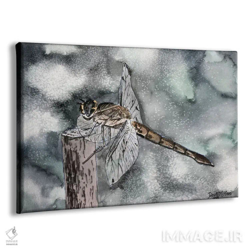 تابلو سنجاقک II اثر درک مککری - نمای پرسپکتیو محصول