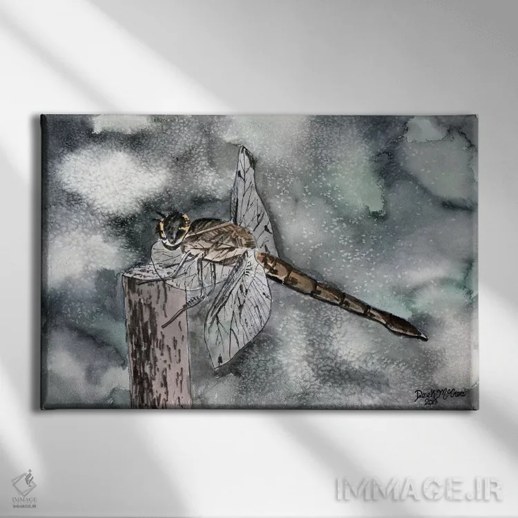 تابلو سنجاقک II اثر درک مککری - نمای روبهرو روی دیوار