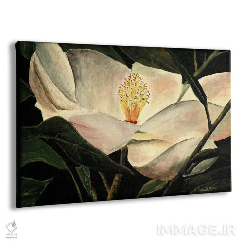 تابلو گل ماگنولیا اثر درک مککری - نمای پرسپکتیو محصول