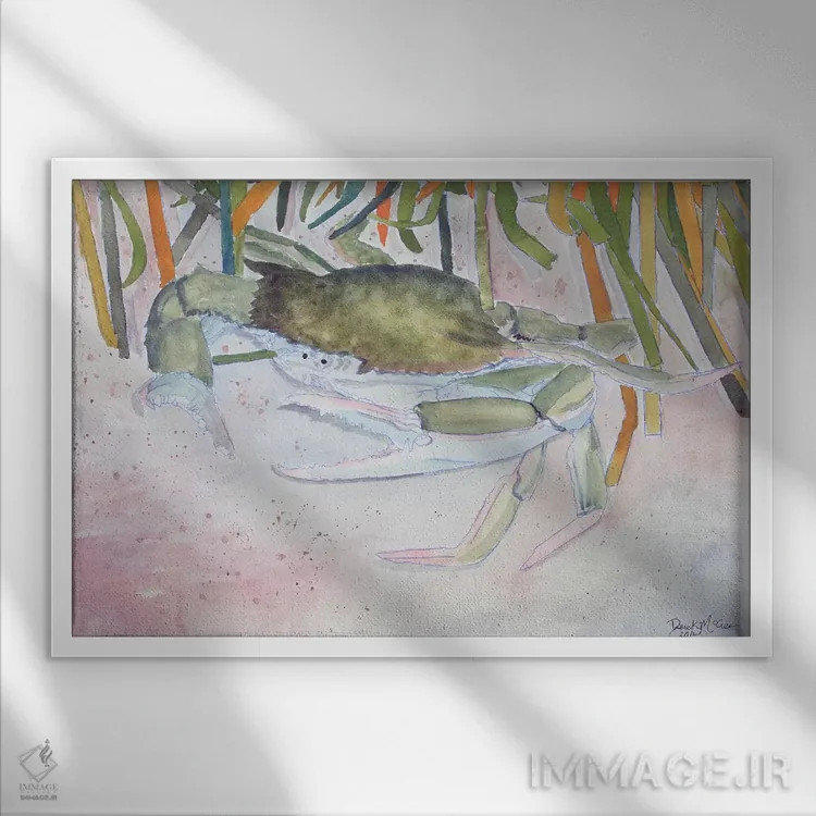 تابلو خرچنگ دو اثر درک مککری - نمای قابدار سفید