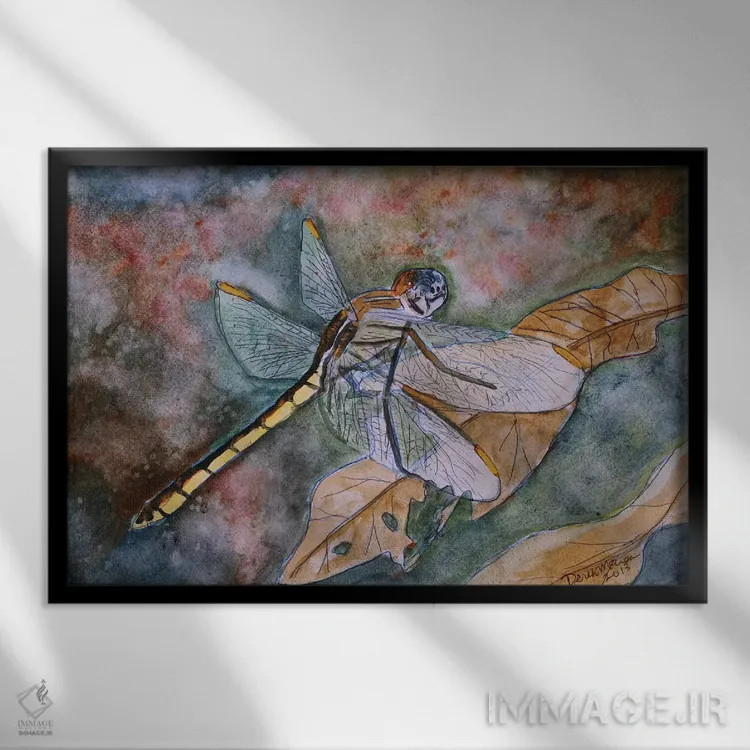 تابلو سنجاقک I اثر درک مککری - نمای قابدار مشکی