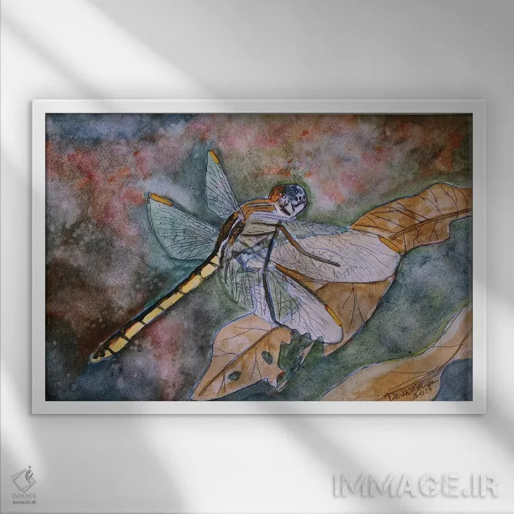 تابلو سنجاقک I اثر درک مککری - نمای قابدار سفید