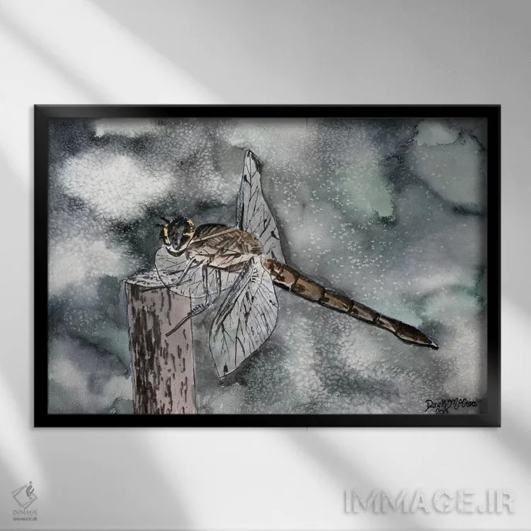 تابلو سنجاقک II اثر درک مککری - نمای قابدار مشکی