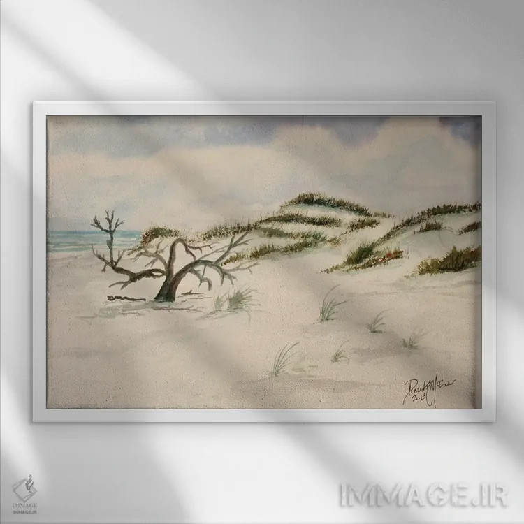 تابلو ساحل فورت والتون اثر درک مککری - نمای قابدار سفید