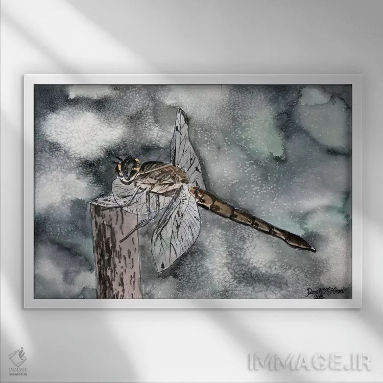 تابلو سنجاقک II اثر درک مککری - نمای قابدار سفید