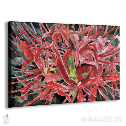 تابلو گل لیلی عنکبوتی قرمز اثر درک مککری - نمای پرسپکتیو محصول