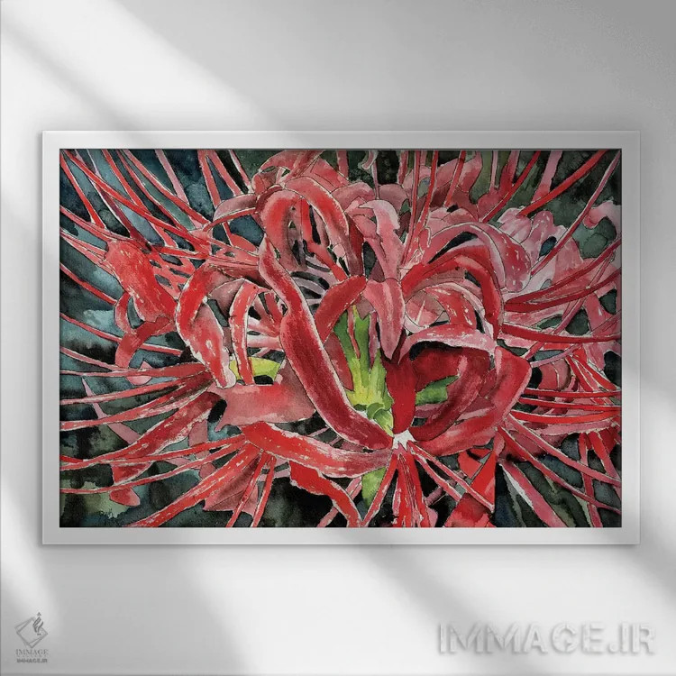 تابلو گل لیلی عنکبوتی قرمز اثر درک مککری - نمای قابدار سفید