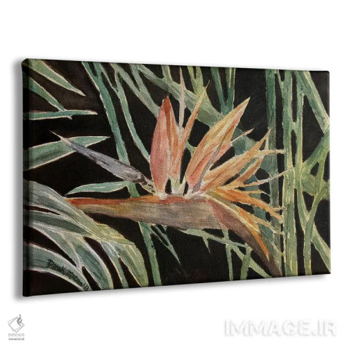 تابلو گل پرندهٔ بهشتی اثر درک مککری - نمای پرسپکتیو محصول