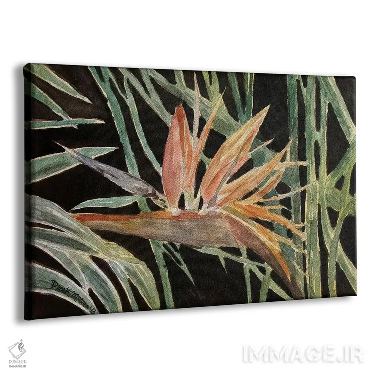 تابلو گل پرندهٔ بهشتی اثر درک مککری - نمای پرسپکتیو محصول