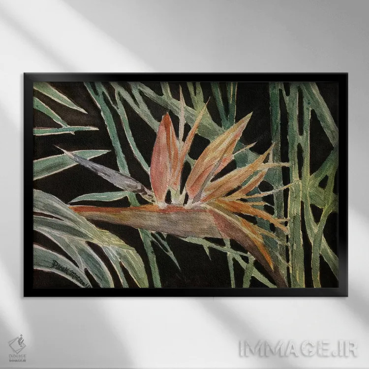 تابلو گل پرندهٔ بهشتی اثر درک مککری - نمای قابدار مشکی
