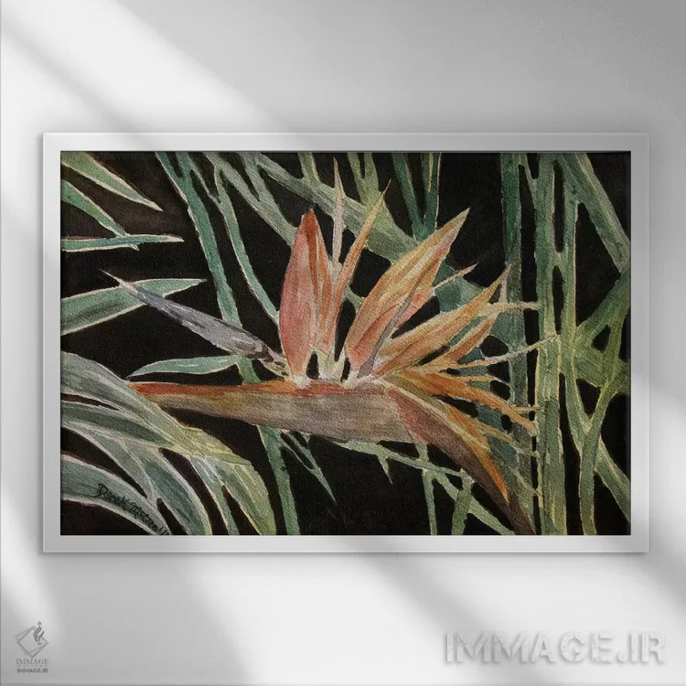 تابلو گل پرندهٔ بهشتی اثر درک مککری - نمای قابدار سفید