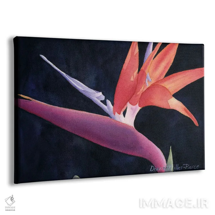 تابلو پرندهای با رنگ متفاوت اثر دیانا میلر-پیرس - نمای پرسپکتیو محصول