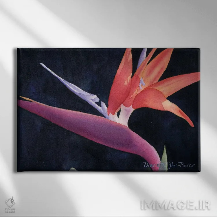 تابلو پرندهای با رنگ متفاوت اثر دیانا میلر-پیرس - نمای روبهرو روی دیوار