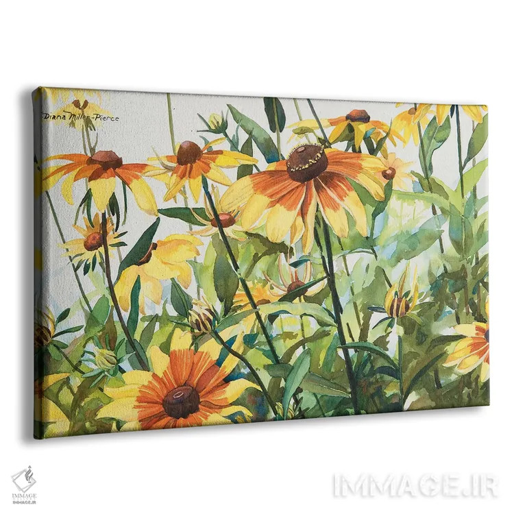 تابلو گیاه ساناز سیاه چشم (گل) اثر دیانا میلر-پیرس - نمای پرسپکتیو محصول