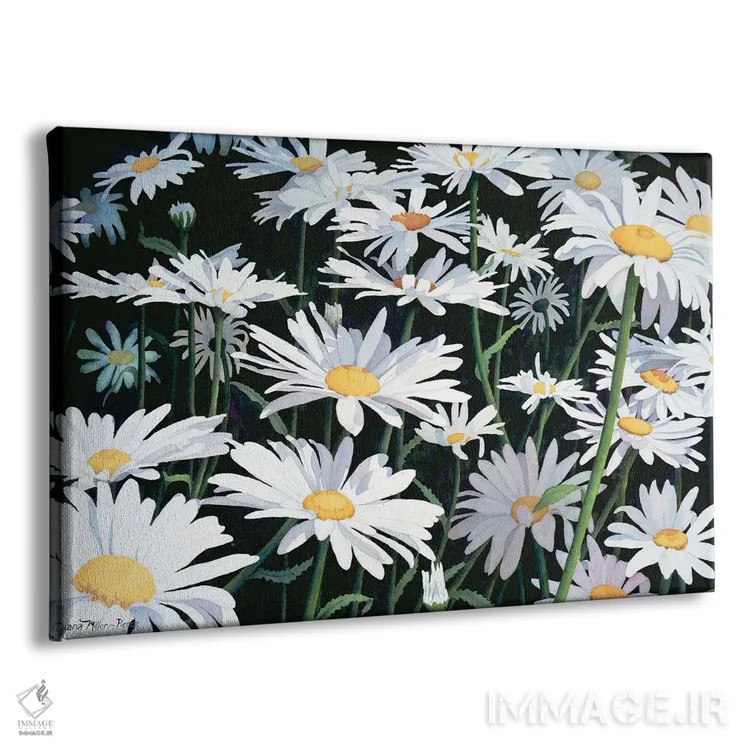 تابلو ساده مثل گل مروارید اثر دیانا میلر-پیرس - نمای پرسپکتیو محصول