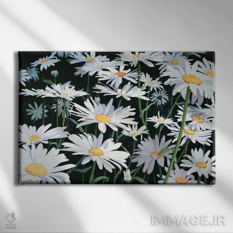 تابلو ساده مثل گل مروارید اثر دیانا میلر-پیرس - نمای روبهرو روی دیوار