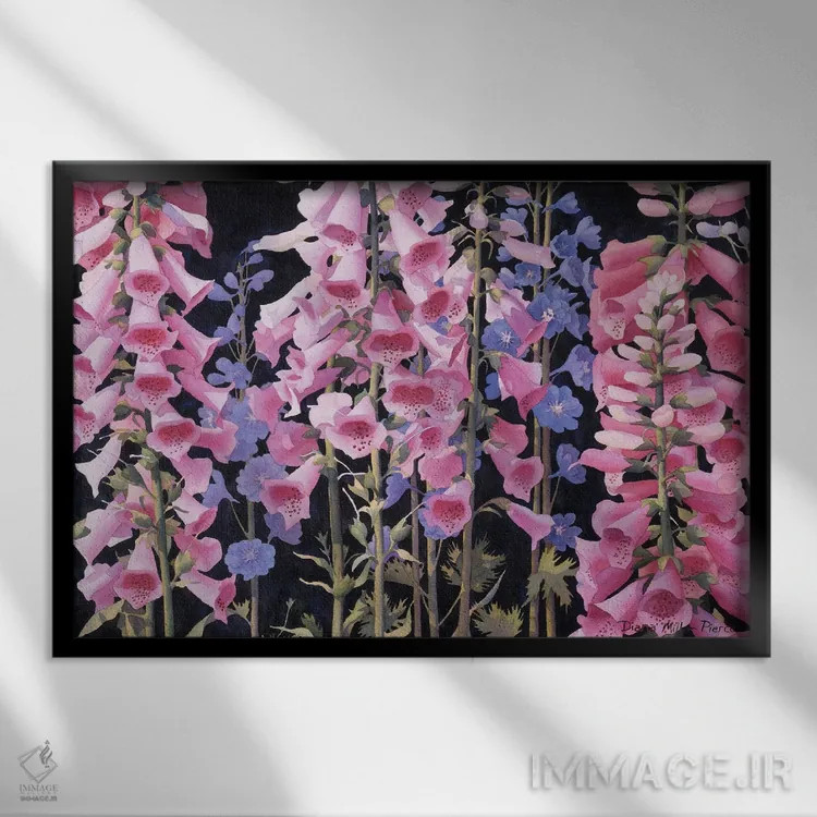 تابلو در میان گل انگشتانه اثر دیانا میلر-پیرس - نمای قابدار مشکی