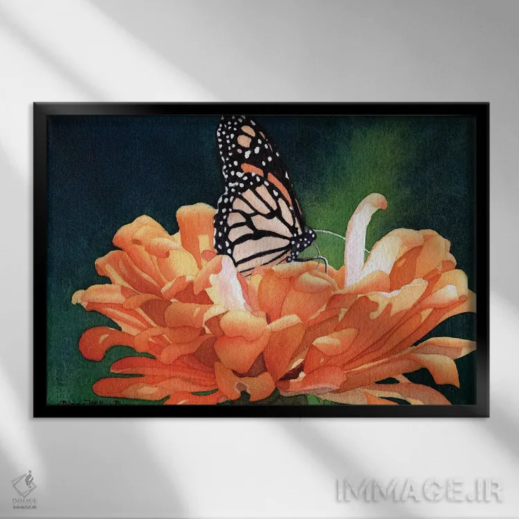 تابلو جواهرنشان - پروانهٔ سلطنتی اثر دیانا میلر-پیرس - نمای قابدار مشکی