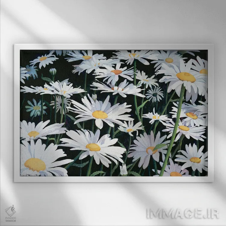 تابلو ساده مثل گل مروارید اثر دیانا میلر-پیرس - نمای قابدار سفید