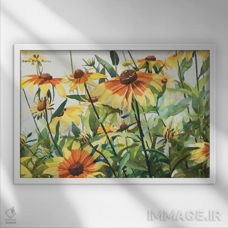 تابلو گیاه ساناز سیاه چشم (گل) اثر دیانا میلر-پیرس - نمای قابدار سفید