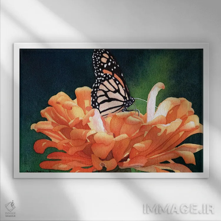 تابلو جواهرنشان - پروانهٔ سلطنتی اثر دیانا میلر-پیرس - نمای قابدار سفید