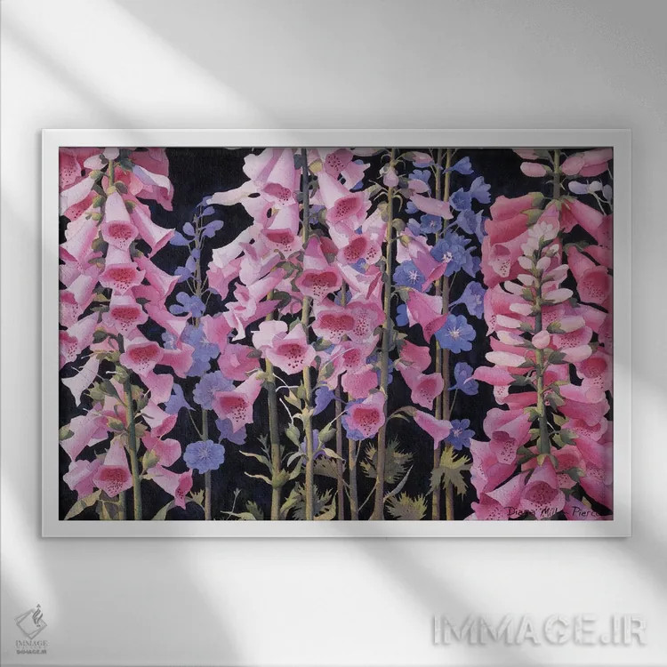 تابلو در میان گل انگشتانه اثر دیانا میلر-پیرس - نمای قابدار سفید